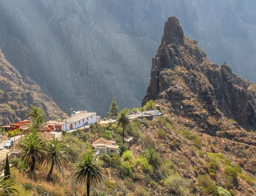 Voyage sur Tenerife : à la découverte d’un nouveau monde