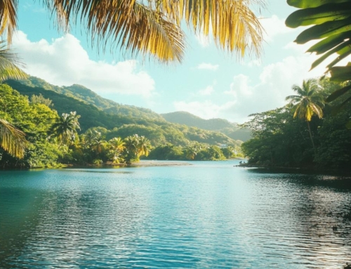 Plongee a Deshaies : Les Plus Beaux Spots Sous-marins de la Guadeloupe