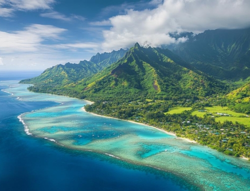 Voyage à Moorea : découvrez un paradis entre lagons turquoise et montagnes verdoyantes