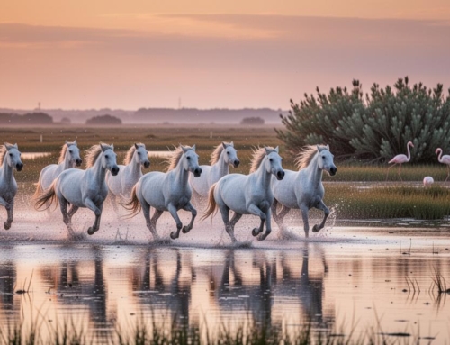 Découvrir les secrets de la Camargue à travers ses sentiers de randonnée sauvages